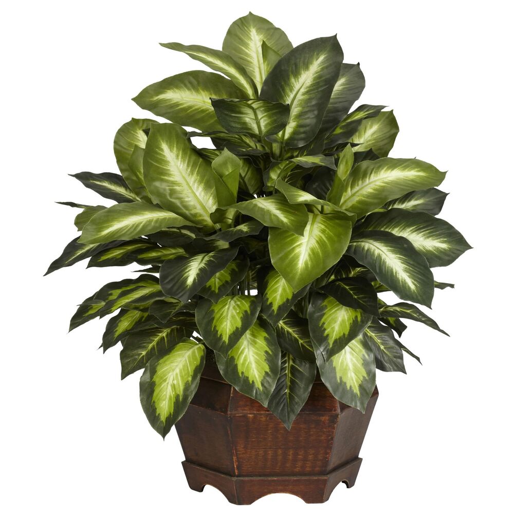 1389 6639 24in. Golden Dieffenbachia Silk Plant, Green